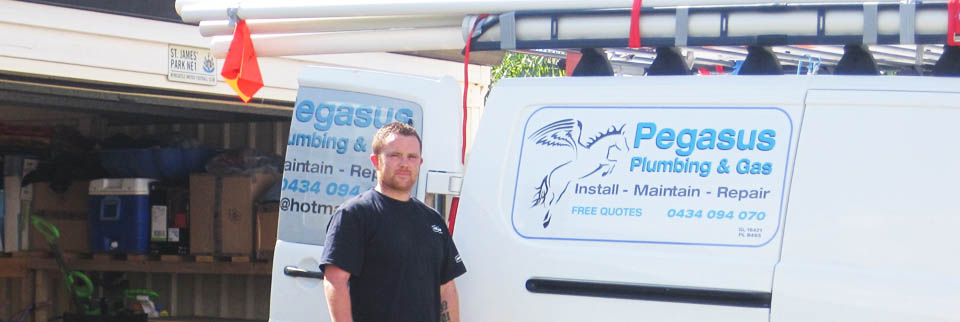 about pegasus plumbing and gas carramar